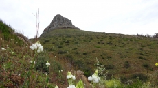 DSC00273