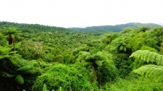 DSC03430