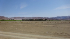 DSC00365