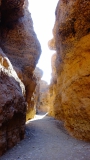 DSC00496