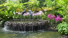 DSC01829