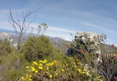 DCIM\100GOPRO