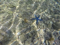 DCIM100GOPRO