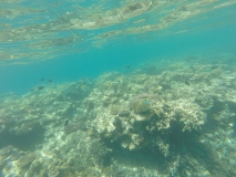 DCIM100GOPRO